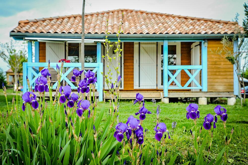 Hotel Domaine De Chadeyron Lagorce  Exterior foto
